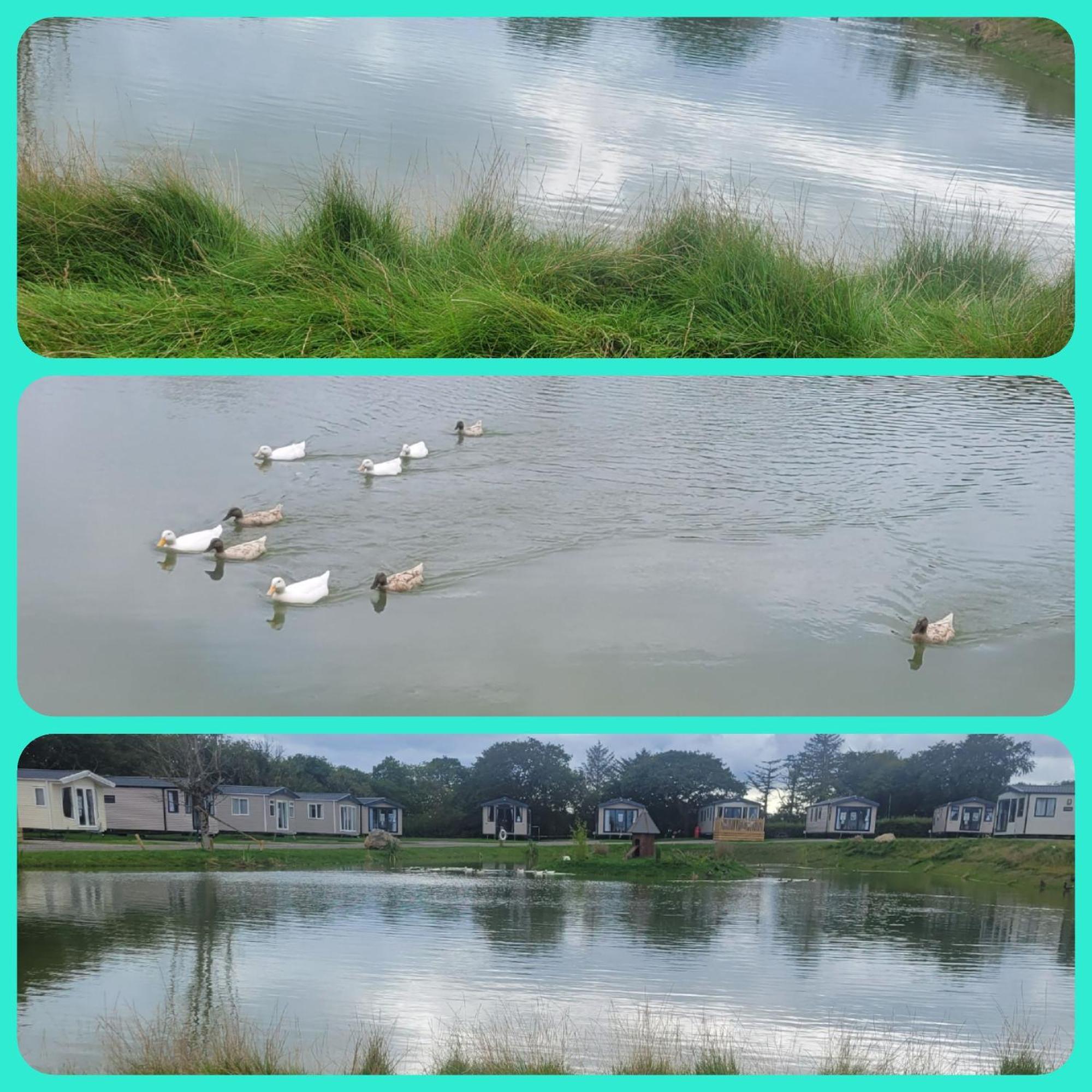 Beautiful 2 Bedroom Caravan, Holiday Park Tenby Saint Florence 외부 사진